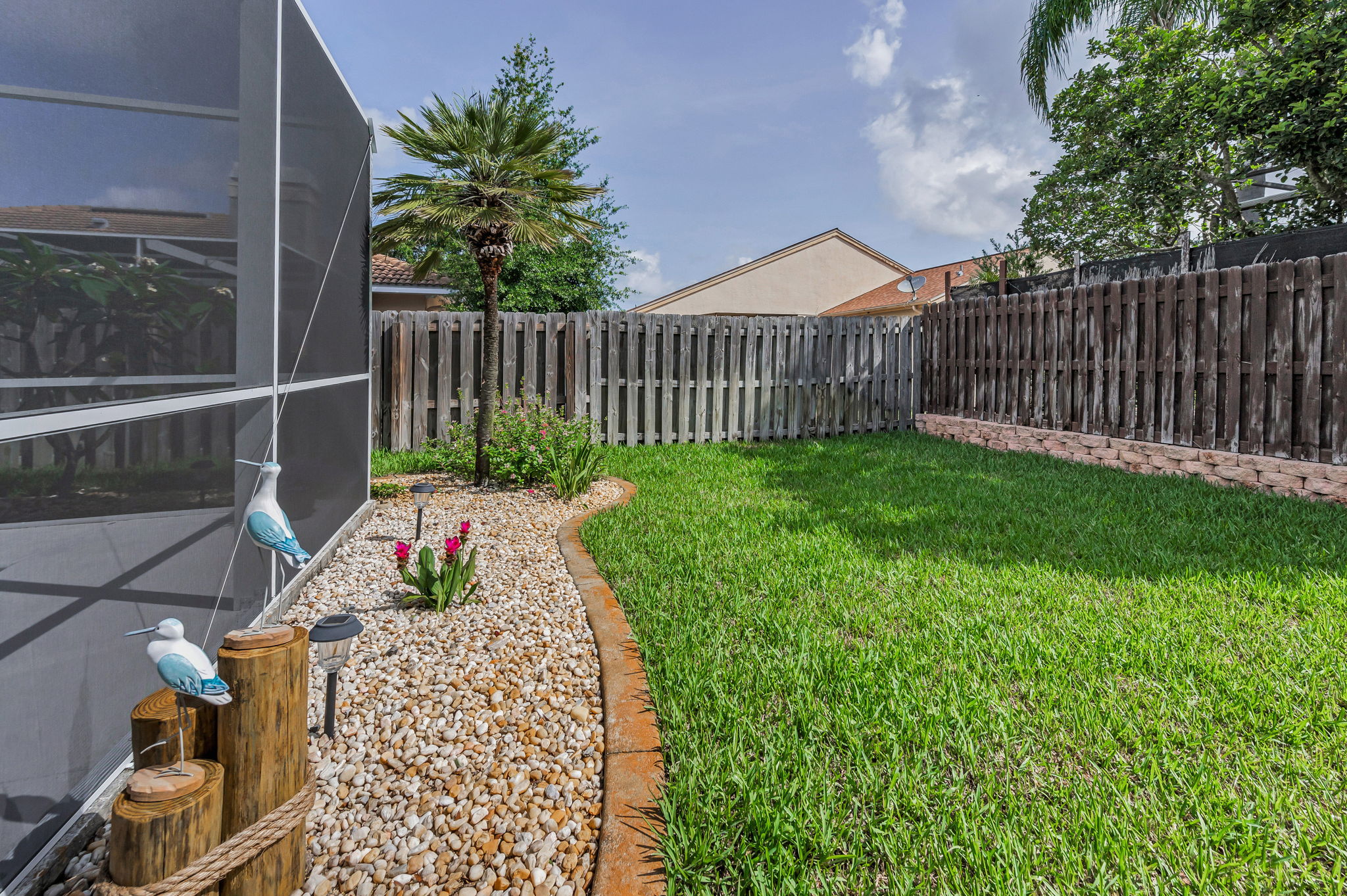 Backyard1