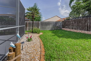 Backyard1
