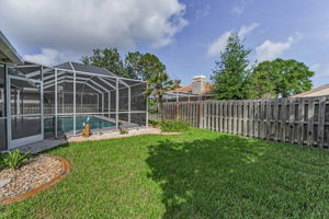 Backyard2