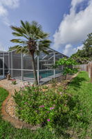 Backyard4