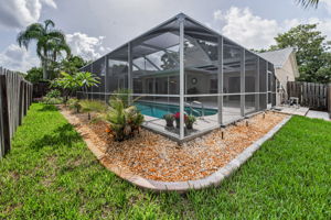 Backyard5