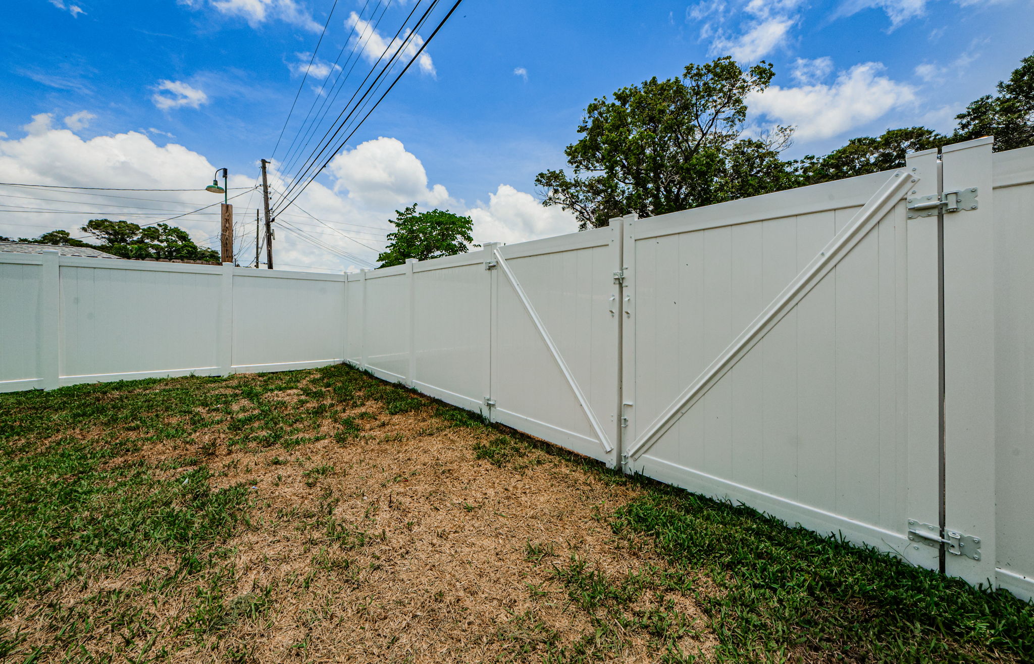 Back Gate 1