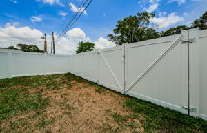 Back Gate 1