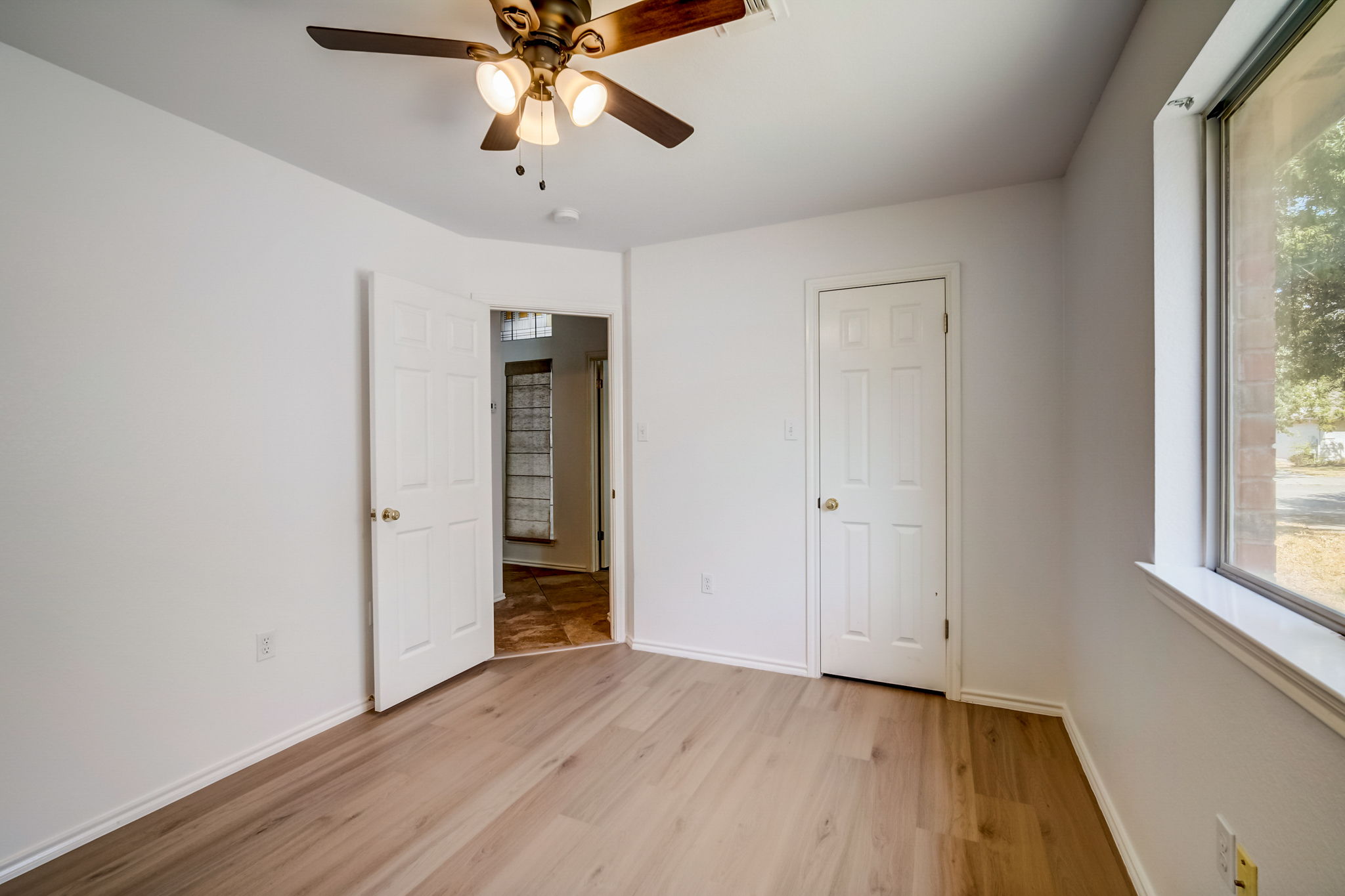 Flinders Reef Ln-023