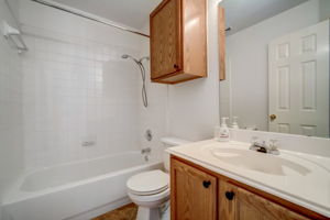 Flinders Reef Ln-024