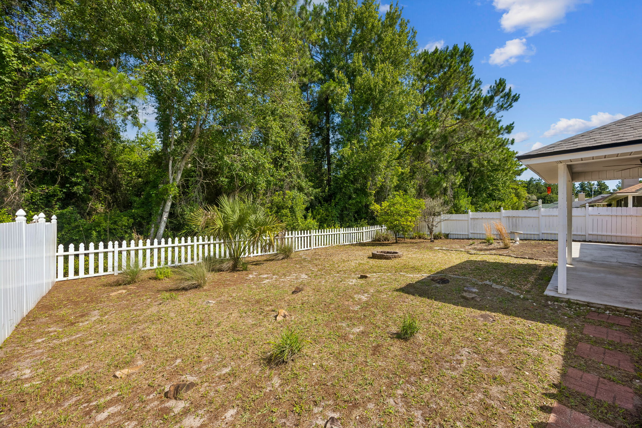 Backyard