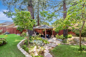 097_3119 Oak Knoll