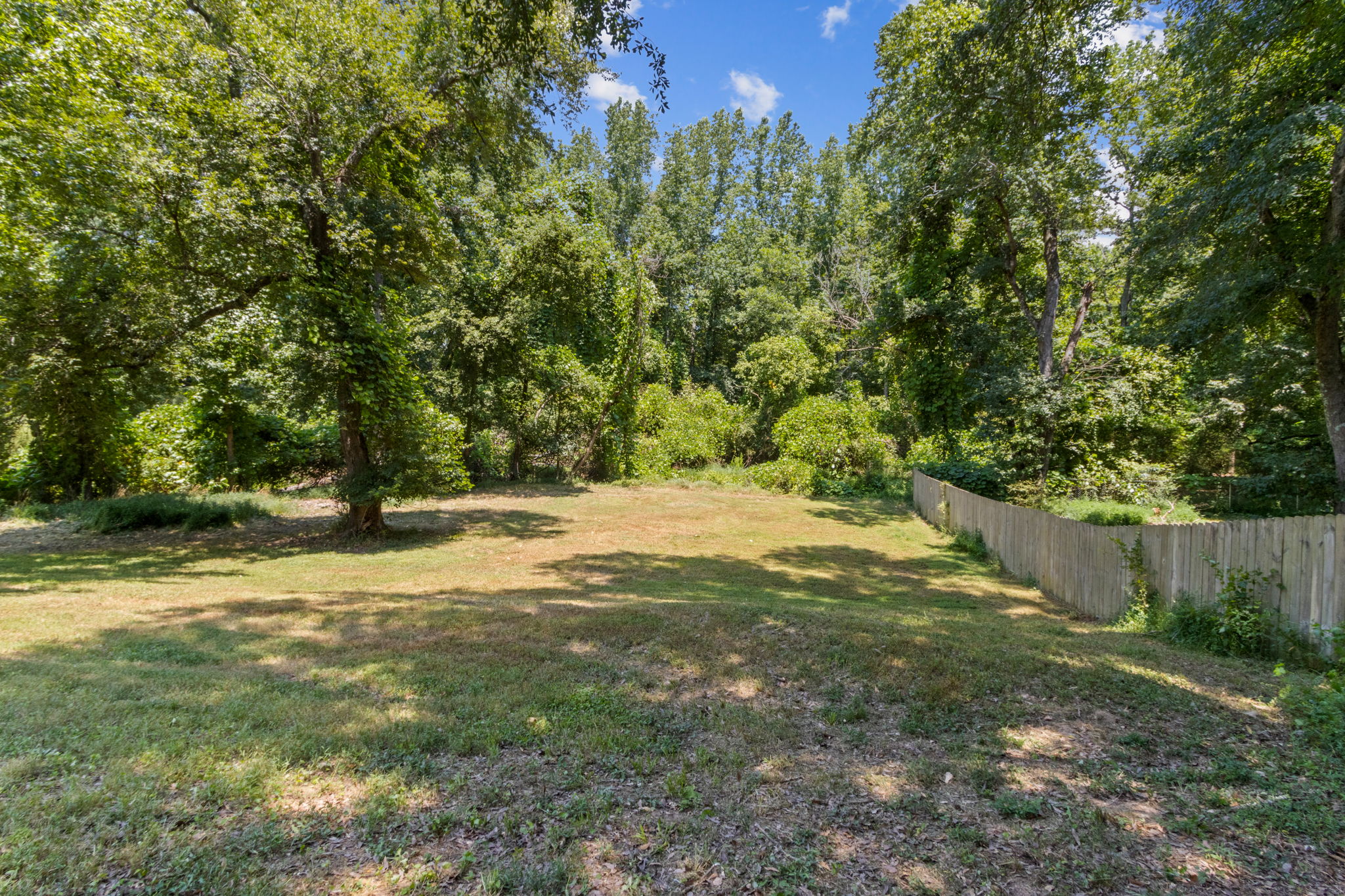 Backyard