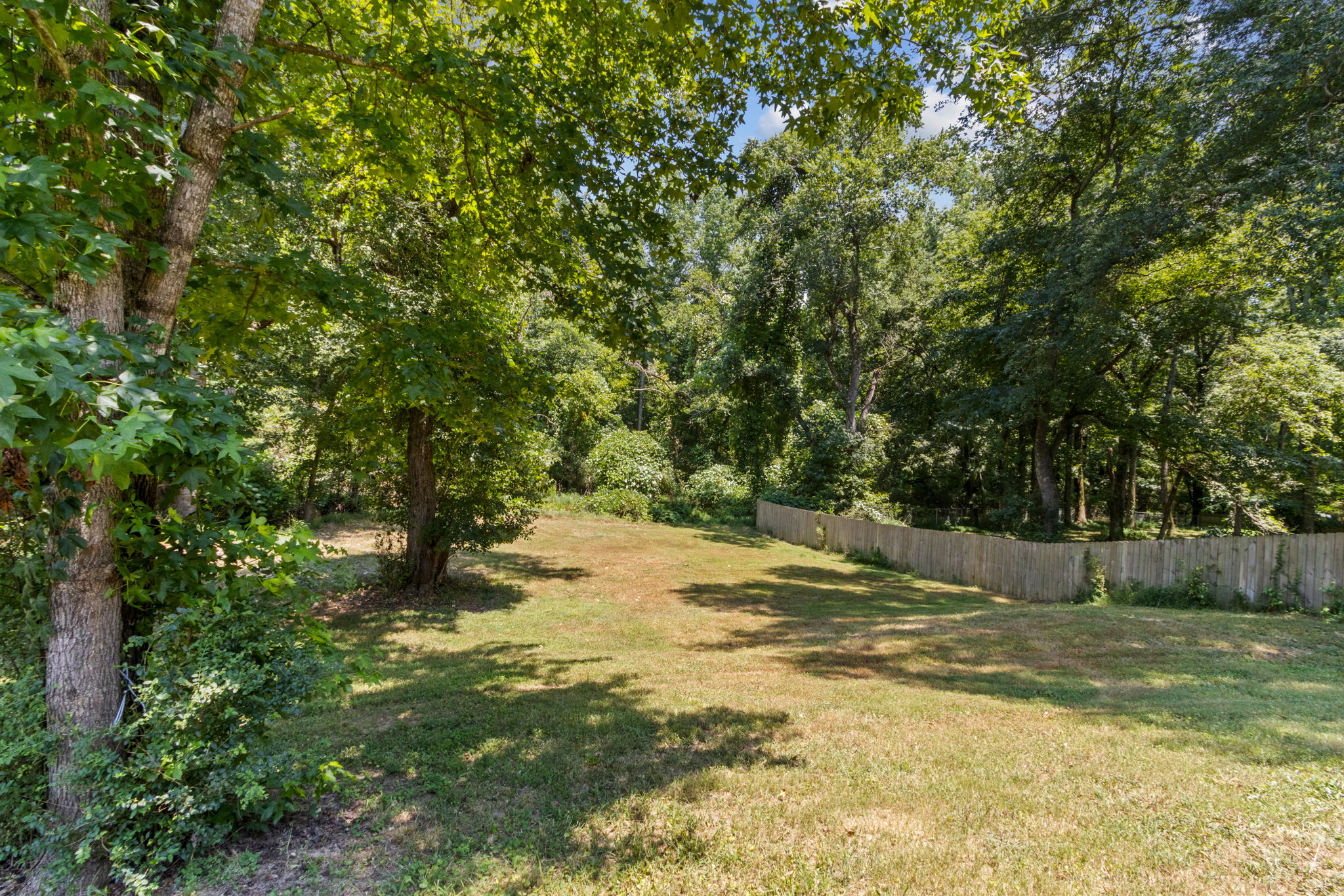 Backyard