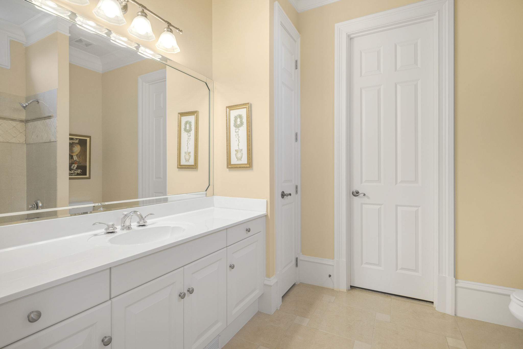 Main Floor Guest Bathroom