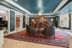 Terrace Level Living Area and Bar