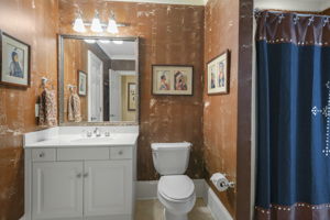 Terrace Level  Main Bathroom