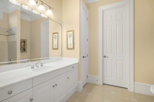 Main Floor Guest Bathroom