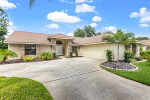 3122 Summervale Dr, Holiday, FL 34691, USA Photo 3