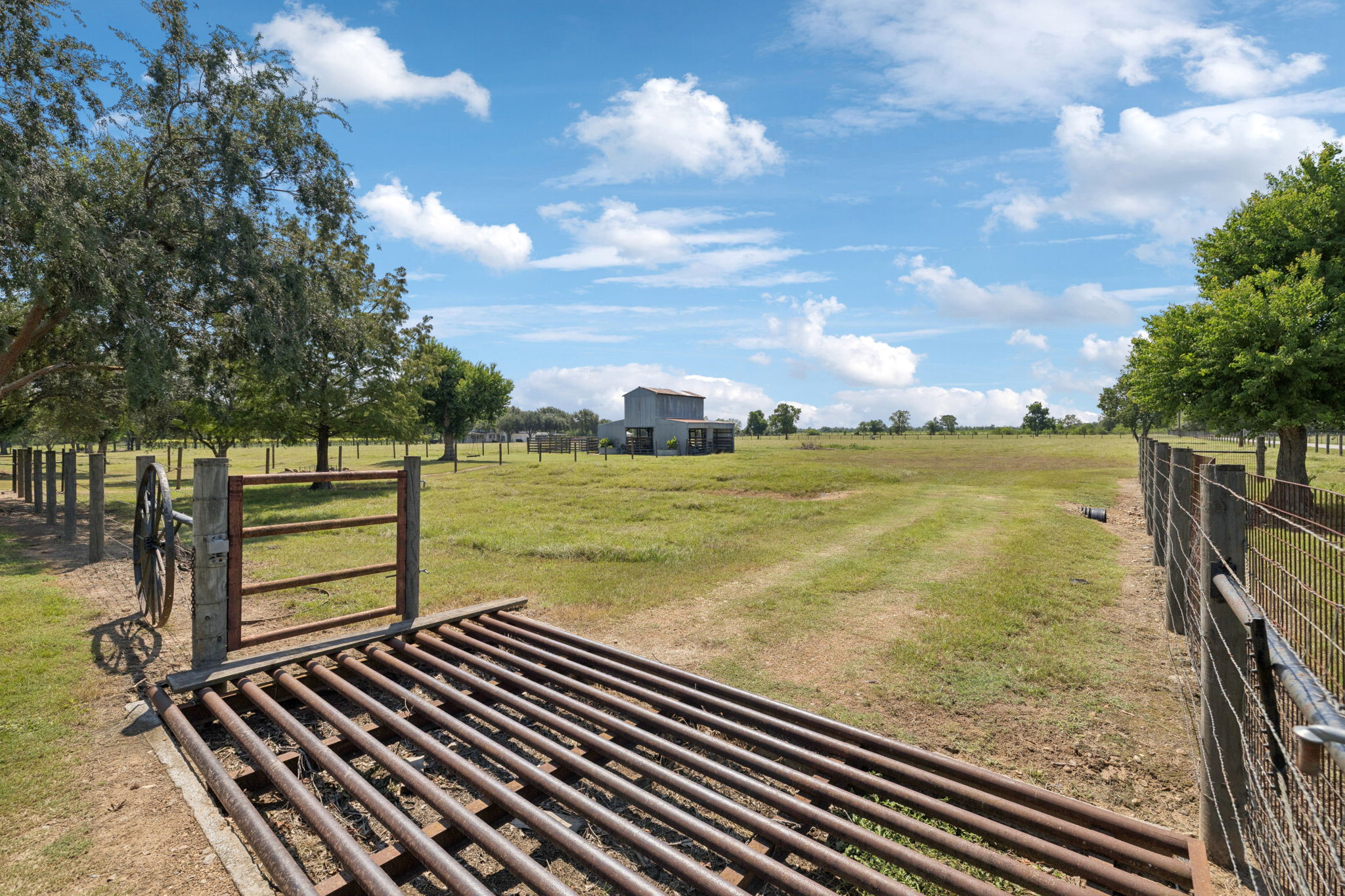Cattle grate into the back pasture.