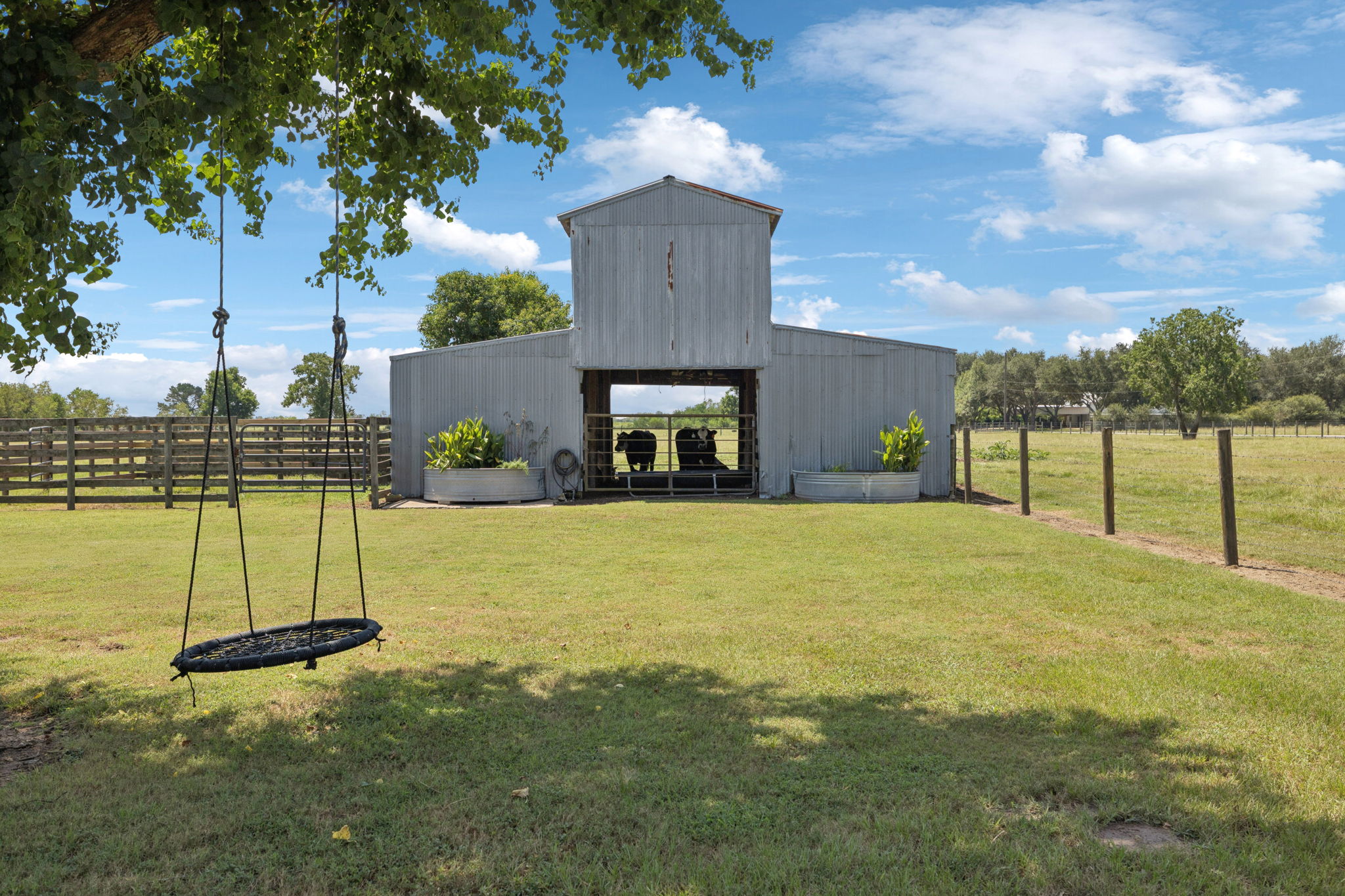 Cow barn.