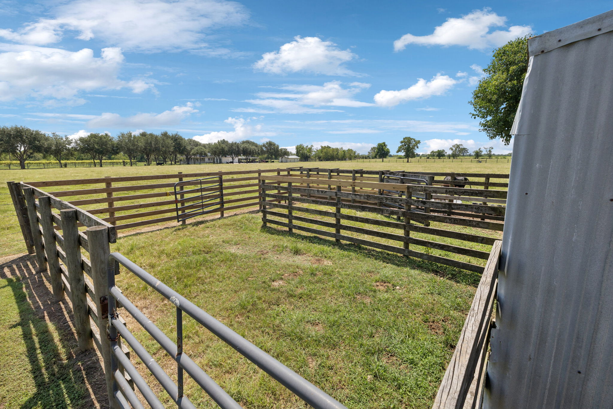 Paddocks.