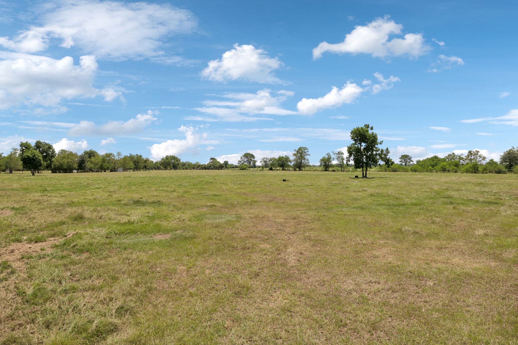 Large fully fenced pastures.