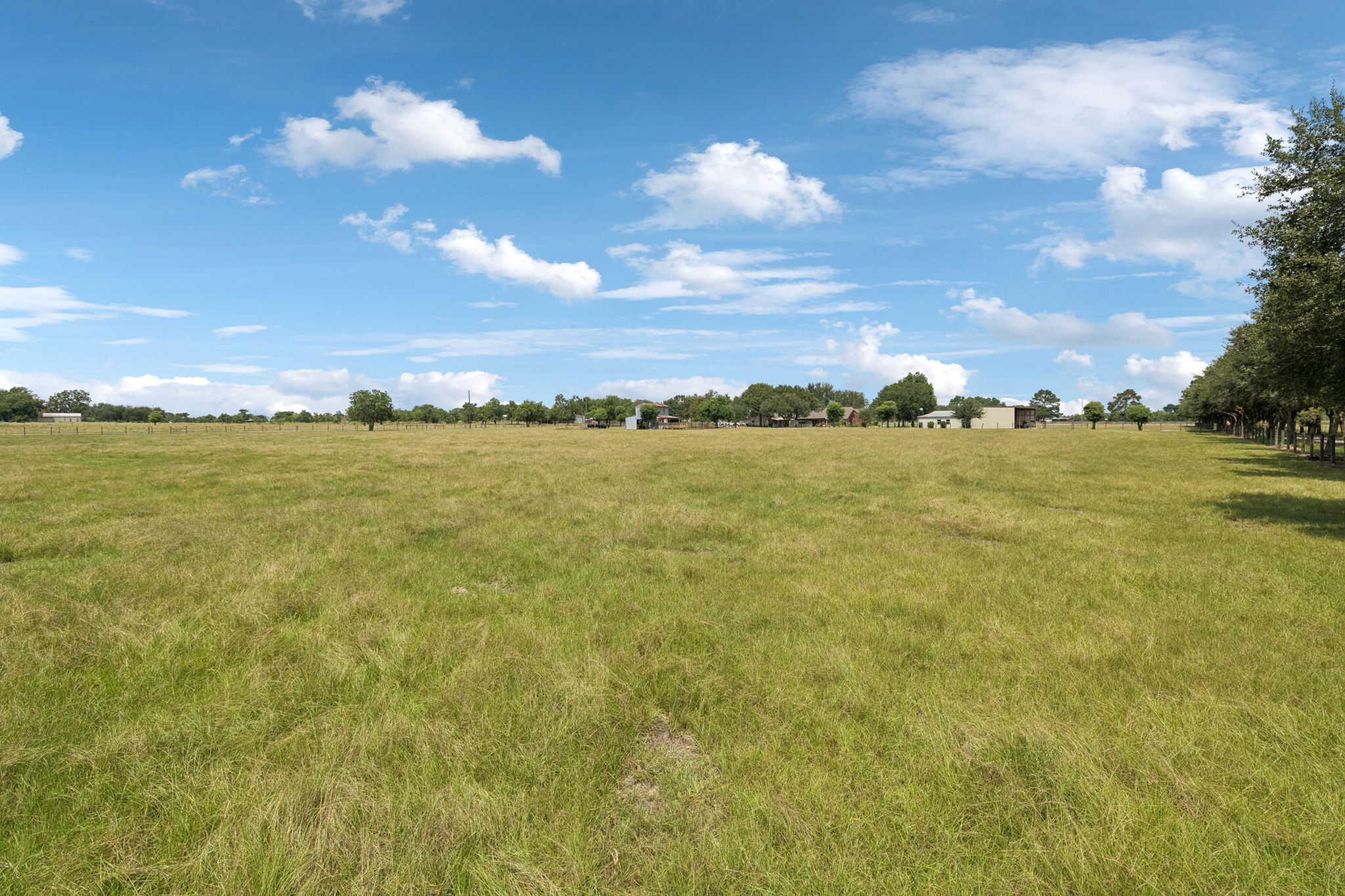 Large pastures for livestock.