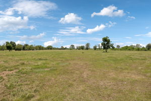 Large fully fenced pastures.