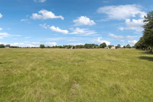 Large pastures for livestock.