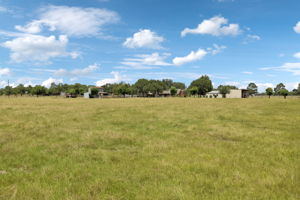 Large pastures for livestock.