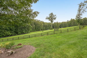 63-Front Yard