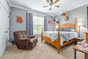 Image-31
