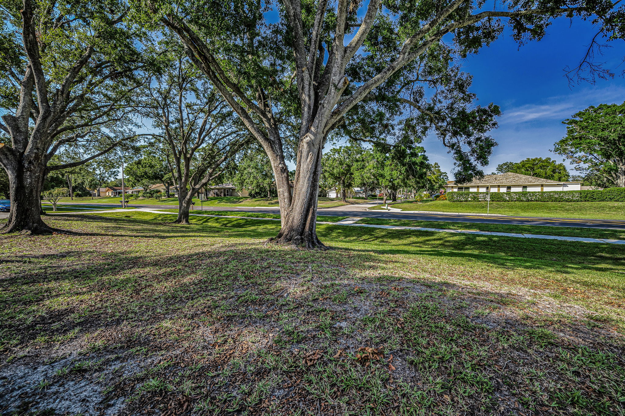 Frontyard2
