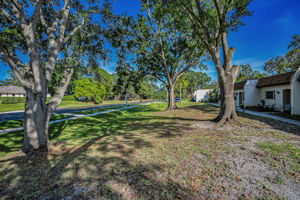 Frontyard1