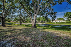 Frontyard2