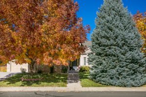  Photo 50