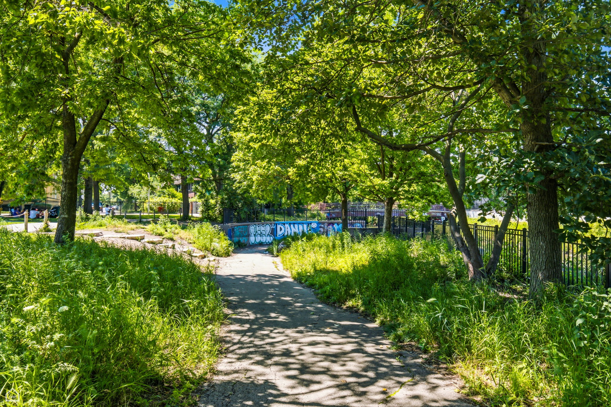 3127 W Carmen Ave 3 - Kara Boeldt_005
