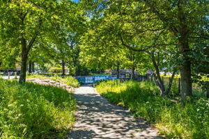 3127 W Carmen Ave 3 - Kara Boeldt_005