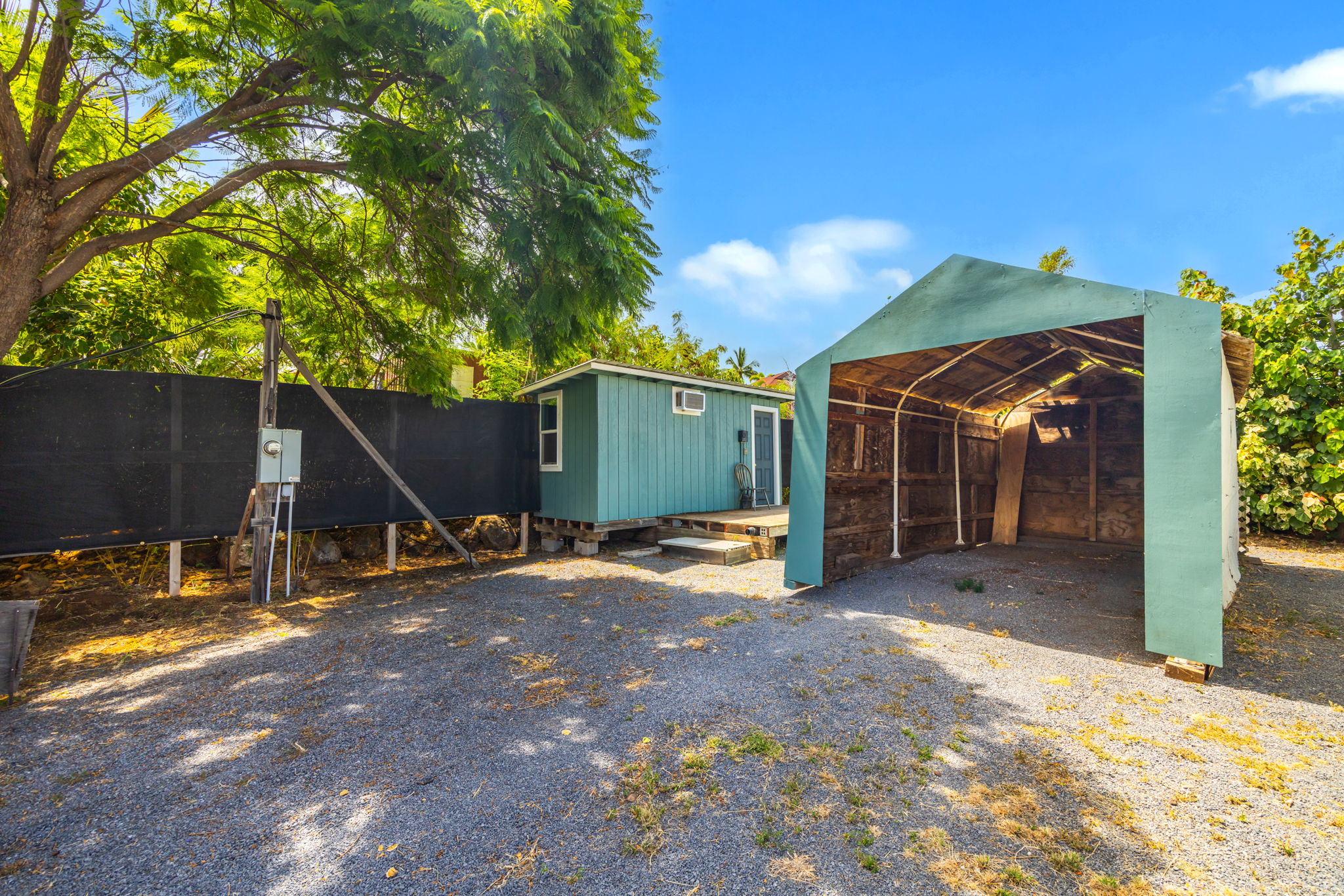 Photo 81