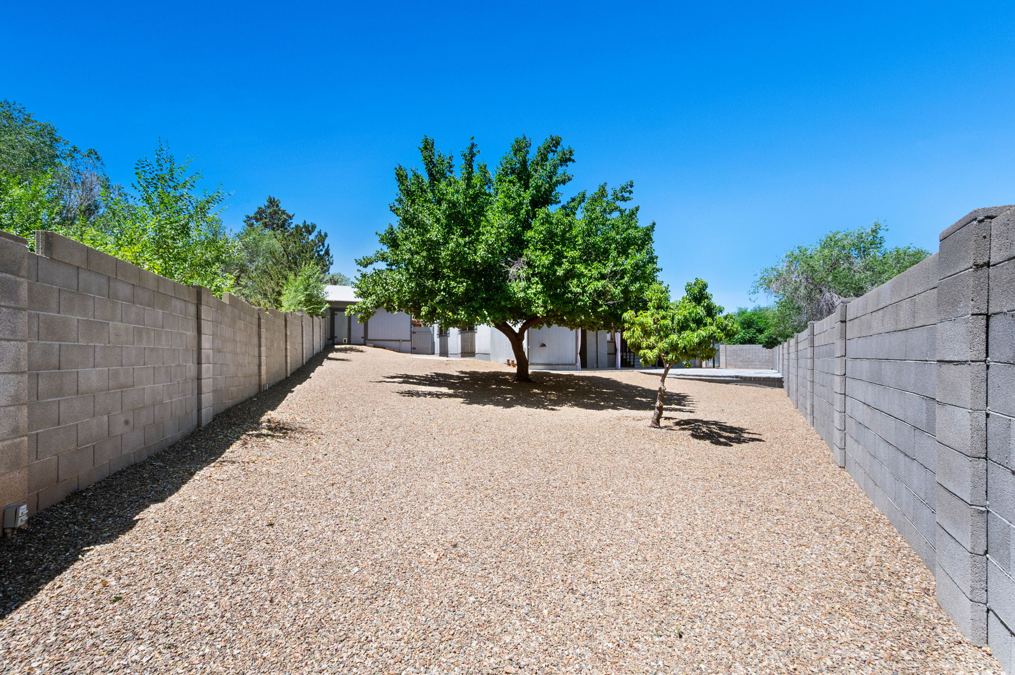 Yard (2)