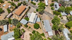 Birds Eye