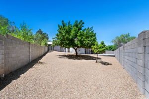 Yard (2)