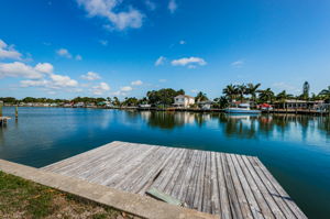 Dock1
