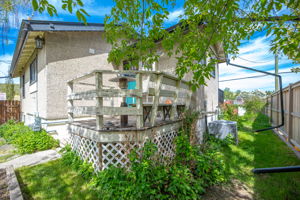  Photo 44