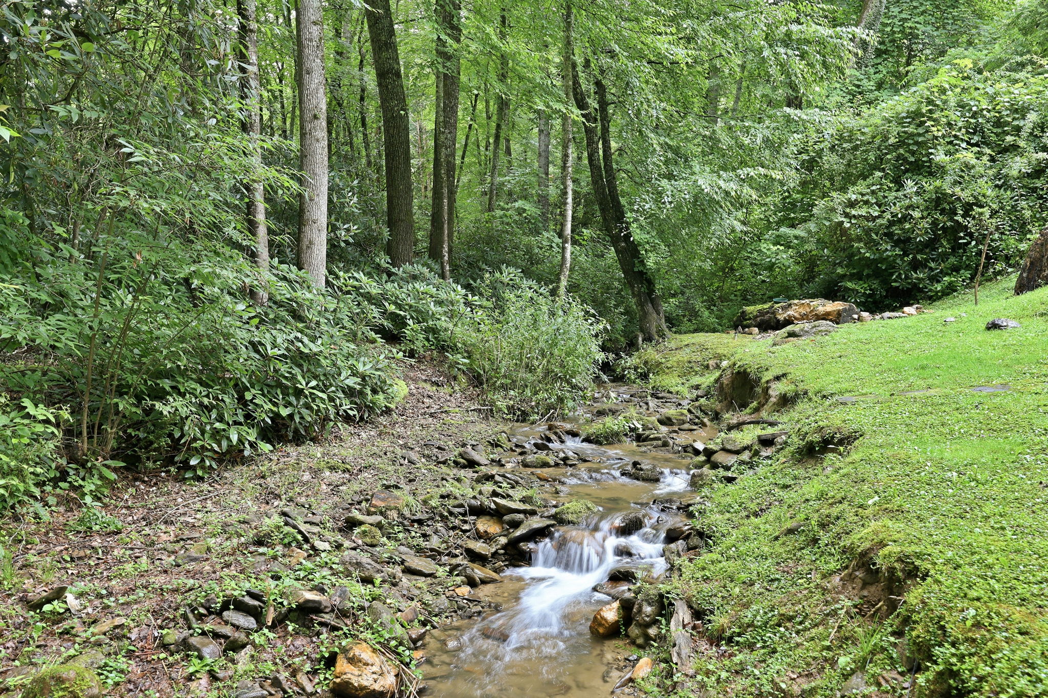  Photo 48