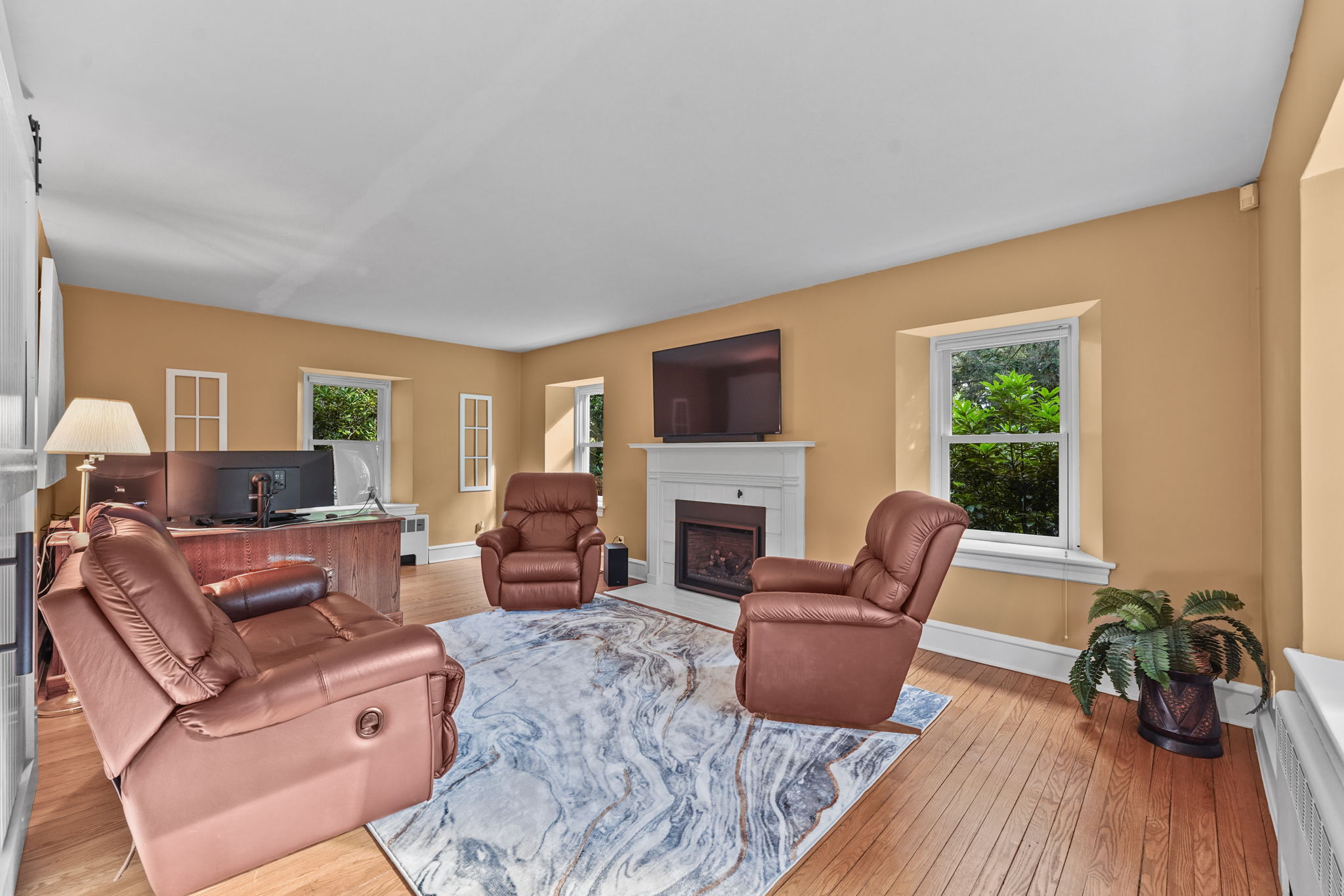 Living Room / Study