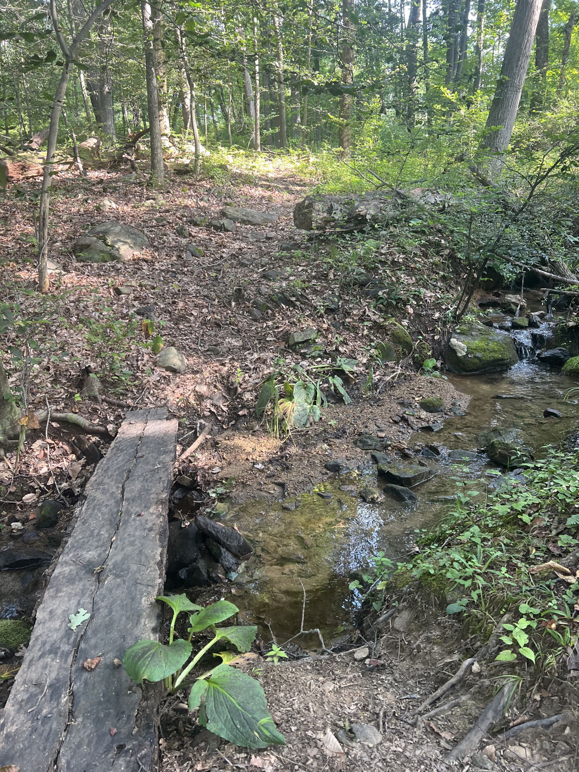 Creek on property