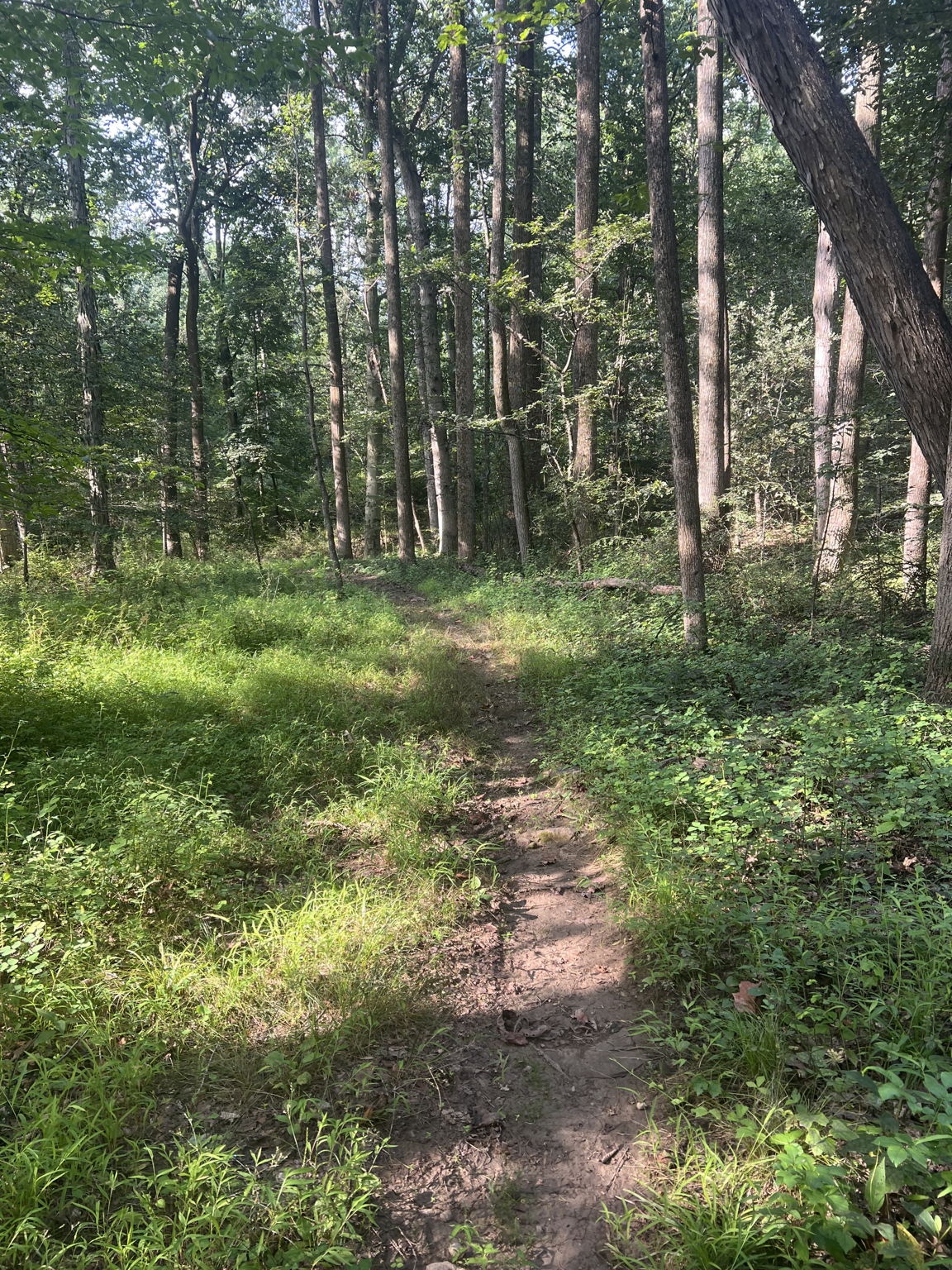 Trails on property