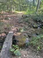 Creek on property