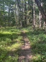 Trails on property