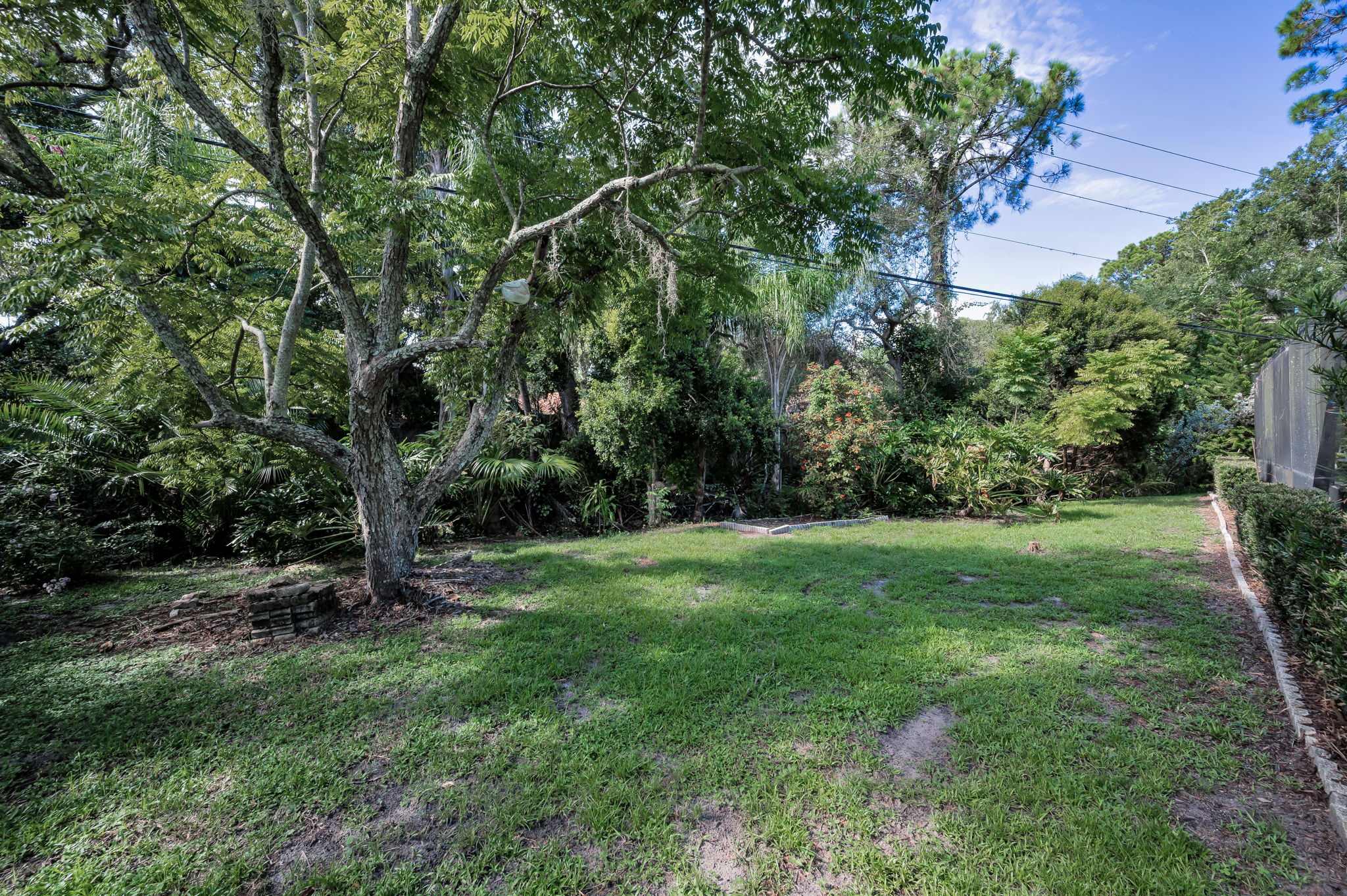 Backyard2