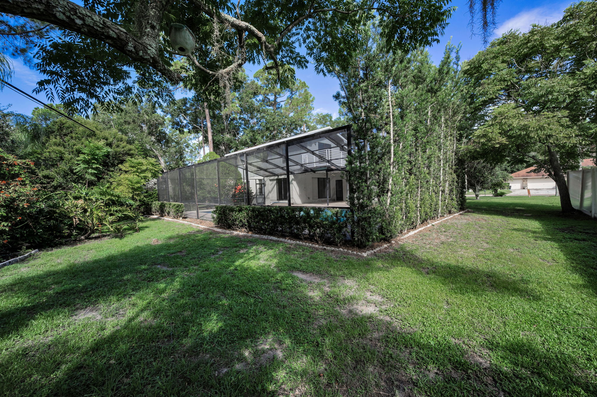 Backyard3