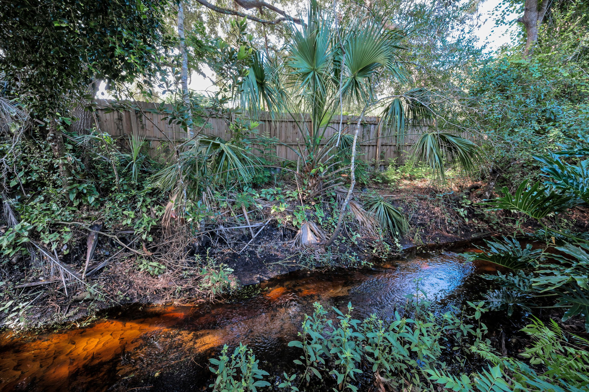 Backyard4