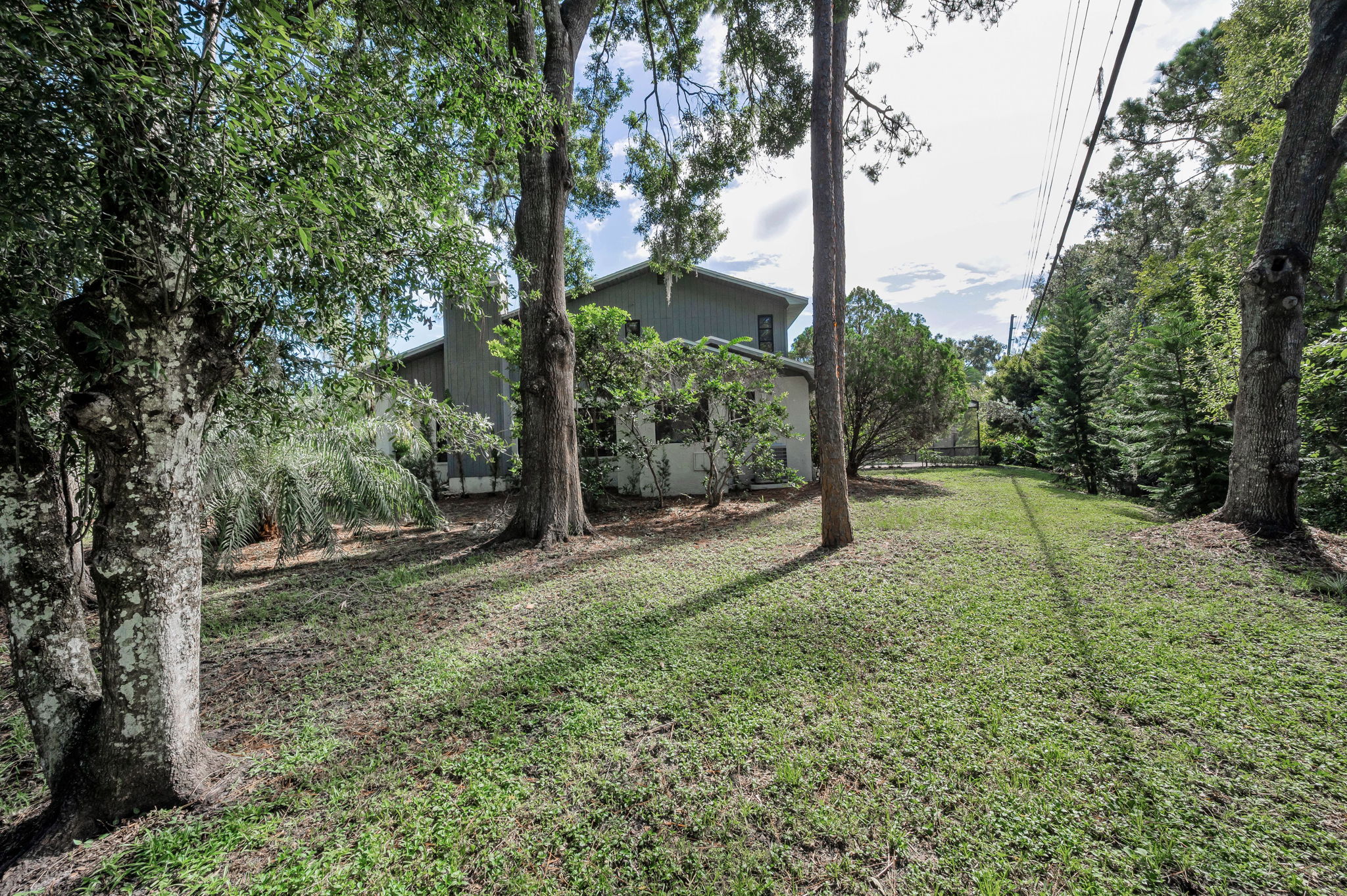 Backyard10